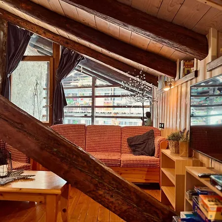 La Tana Dell'orso Apartment Forni di Sopra